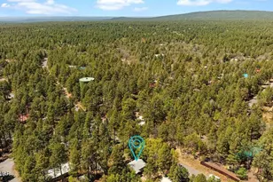 5801 Apache Trail, Pinetop, AZ 85935 - Photo 38