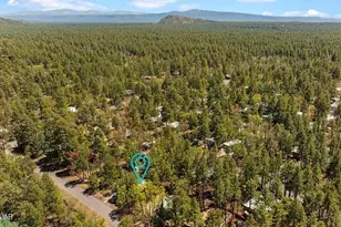 5801 Apache Trail, Pinetop, AZ 85935 - Photo 40