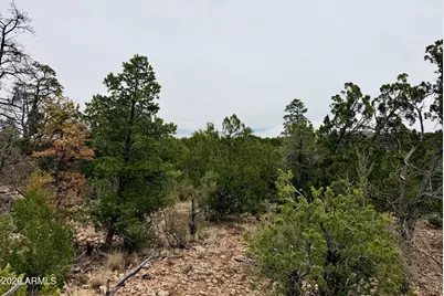 4918 Sunset Ridge Loop #199, Happy Jack, AZ 86024 - Photo 10