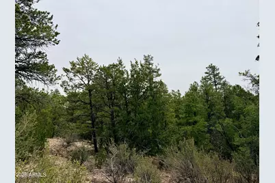 4918 Sunset Ridge Loop #199, Happy Jack, AZ 86024 - Photo 8