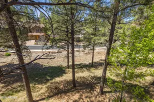 3189 S Salvestrin Ln, Flagstaff, AZ 86005 - Photo 4