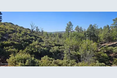 6303 Deer Run Road #398, Show Low, AZ 85901 - Photo 1
