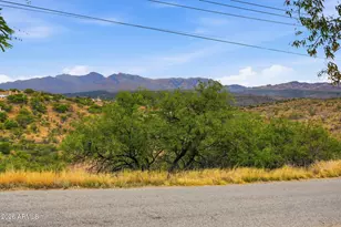 428 Camino Canoa, Rio Rico, AZ 85648 - Photo 56