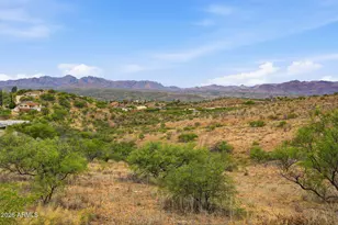 428 Camino Canoa, Rio Rico, AZ 85648 - Photo 54
