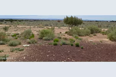 1771 W Ridgeview Ranch Road, Snowflake, AZ 85937 - Photo 16