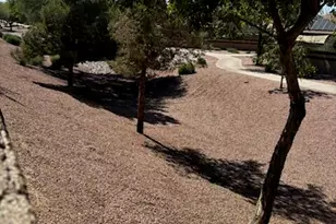 2770 E Buena Vista Dr, Chandler, AZ 85249 - Photo 62