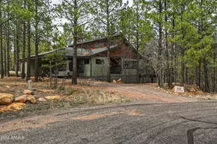 4449 Star Shine Cir, Happy Jack, AZ 86024 - Photo 44