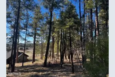 1021 Stone Hollow Loop #2, Williams, AZ 86046 - Photo 4