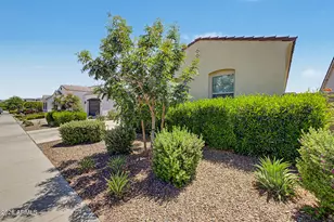 3983 W Serpentine Dr, San Tan Valley, AZ 85144 - Photo 4