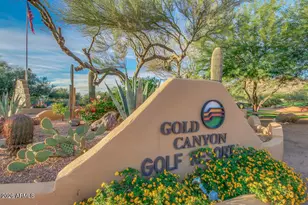 10793 E Sleepy Hollow Trail, Gold Canyon, AZ 85118 - Photo 74