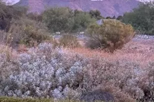 22776 E Via Las Brisas, Queen Creek, AZ 85142 - Photo 6