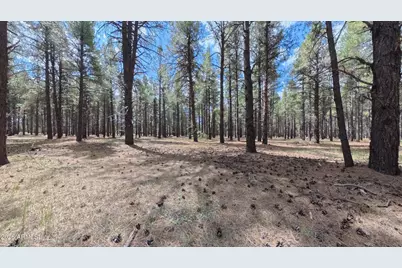 12565 Camp Kimball Road #-, Parks, AZ 86018 - Photo 40