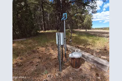 12565 Camp Kimball Road #-, Parks, AZ 86018 - Photo 10