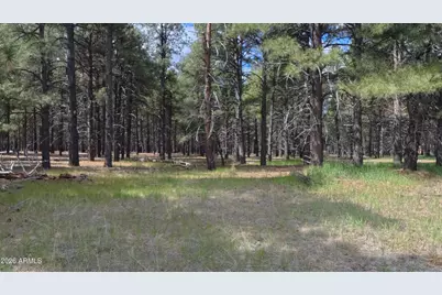 12565 Camp Kimball Road #-, Parks, AZ 86018 - Photo 2