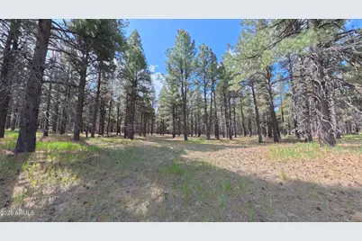 12565 Camp Kimball Road #-, Parks, AZ 86018 - Photo 4