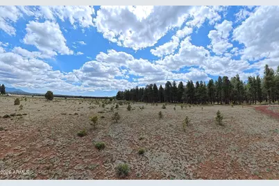 12565 Camp Kimball Road #-, Parks, AZ 86018 - Photo 46