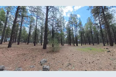 12565 Camp Kimball Road #-, Parks, AZ 86018 - Photo 34