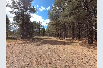 12565 Camp Kimball Road #-, Parks, AZ 86018 - Photo 16