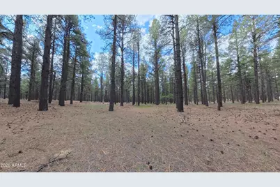 12565 Camp Kimball Road #-, Parks, AZ 86018 - Photo 32