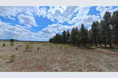 12565 Camp Kimball Road #-, Parks, AZ 86018 - Photo 48