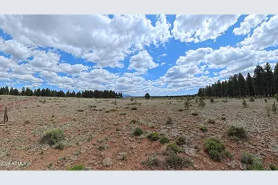 12565 Camp Kimball Road #-, Parks, AZ 86018 - Photo 1