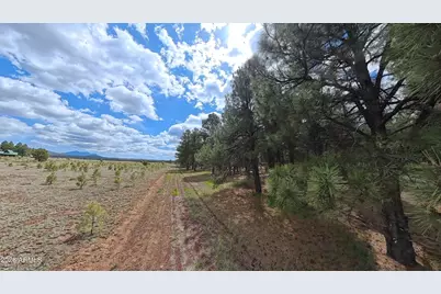 12565 Camp Kimball Road #-, Parks, AZ 86018 - Photo 52