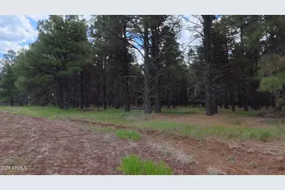 12565 Camp Kimball Road #-, Parks, AZ 86018 - Photo 28