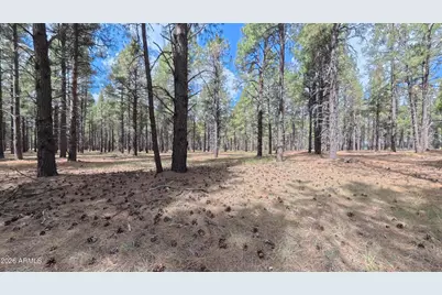 12565 Camp Kimball Road #-, Parks, AZ 86018 - Photo 36