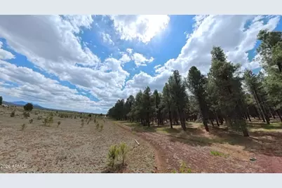 12565 Camp Kimball Road #-, Parks, AZ 86018 - Photo 60