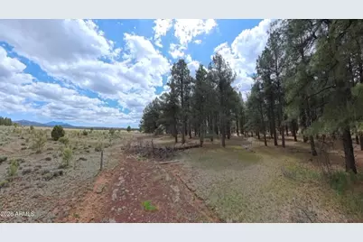12565 Camp Kimball Road #-, Parks, AZ 86018 - Photo 58