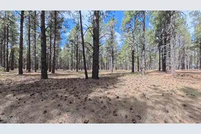 12565 Camp Kimball Road #-, Parks, AZ 86018 - Photo 38