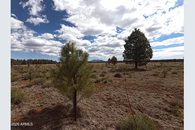 12565 Camp Kimball Road #-, Parks, AZ 86018 - Photo 22