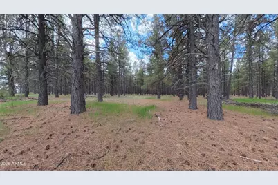 12565 Camp Kimball Road #-, Parks, AZ 86018 - Photo 20