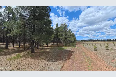 12565 Camp Kimball Road #-, Parks, AZ 86018 - Photo 56