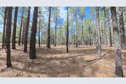12565 Camp Kimball Road #-, Parks, AZ 86018 - Photo 42