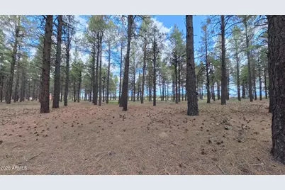 12565 Camp Kimball Road #-, Parks, AZ 86018 - Photo 30