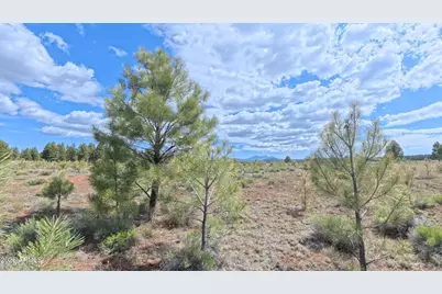 12565 Camp Kimball Road #-, Parks, AZ 86018 - Photo 6