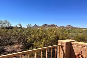 11217 E Hedgehog Pl, Scottsdale, AZ 85262 - Photo 56
