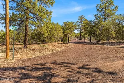 1853 Woolford Road #-, Clay Springs, AZ 85923 - Photo 8