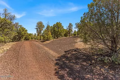 1853 Woolford Road #-, Clay Springs, AZ 85923 - Photo 12