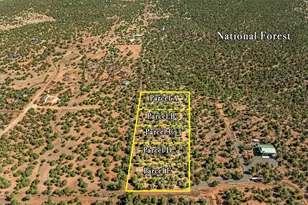 1853 Woolford Rd, Clay Springs, AZ 85923 - Photo 1
