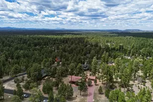 4265 Lodge Pole Pl, Happy Jack, AZ 86024 - Photo 48
