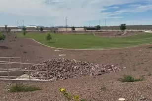 25243 W Bowker St, Buckeye, AZ 85326 - Photo 14