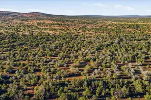 8602 N Ten Tanks Rd, Ash Fork, AZ 86320 - Photo 1