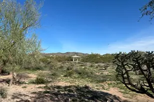 18182 E El Viejo Desierto --, Gold Canyon, AZ 85118 - Photo 42
