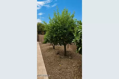 24764 N 117th Street, Scottsdale, AZ 85255 - Photo 40