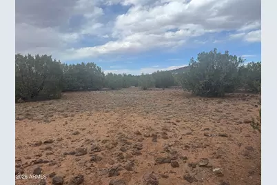Lot 164 Mesa Redondo -- #164, Concho, AZ 85924 - Photo 4