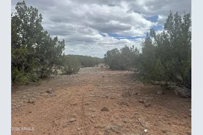 Lot 164 Mesa Redondo -- #164, Concho, AZ 85924 - Photo 2