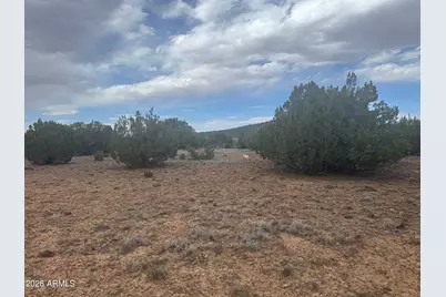 Lot 164 Mesa Redondo -- #164, Concho, AZ 85924 - Photo 6