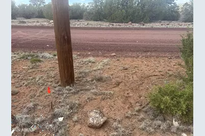 Lot 164 Mesa Redondo -- #164, Concho, AZ 85924 - Photo 8